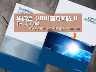项目名称十