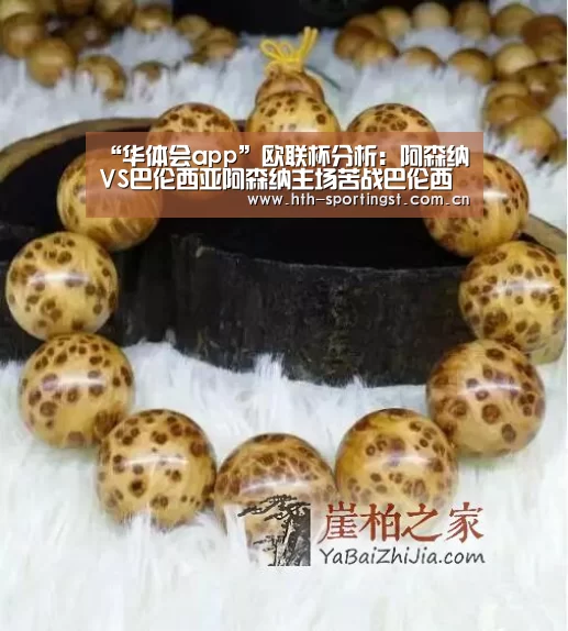 华体会app